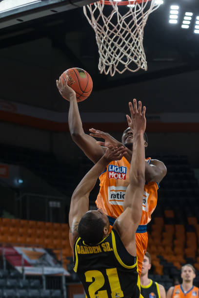 或缺的一环 或缺的一环